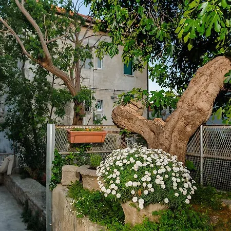 Πανσιόν And Nona Stella 3*