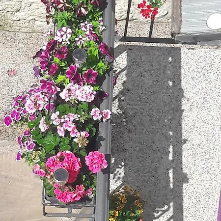 And Nona Stella Гостевой дом