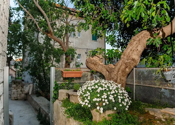 Vendégház And Nona Stella 3*