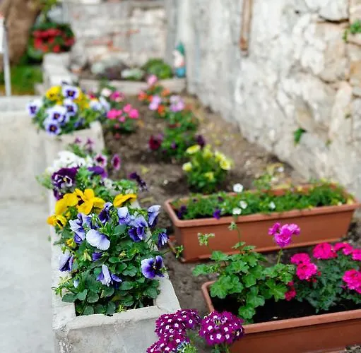 Vendégház And Nona Stella