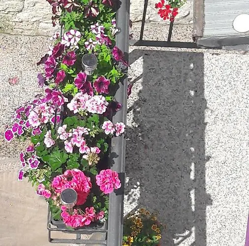 And Nona Stella Vendégház