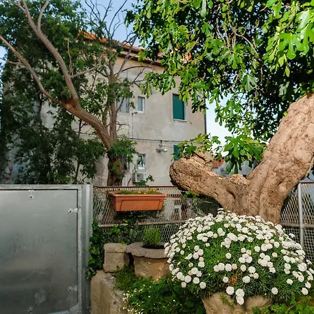 And Nona Stella Pensionat 3*